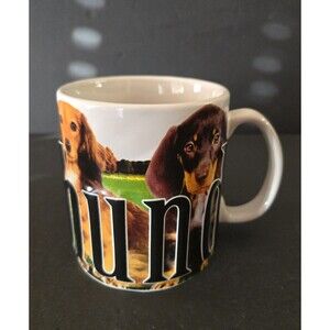 Americaware Dachshund My Pet Mug Color Relief Large Stoneware Coffee Cup 2014